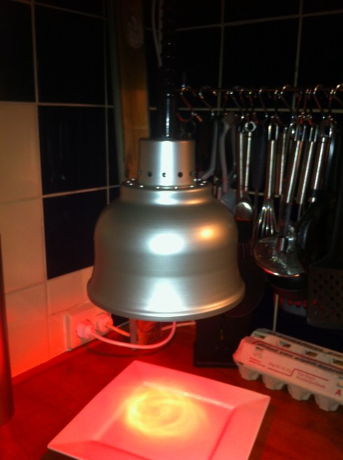 foto warmhoudlamp