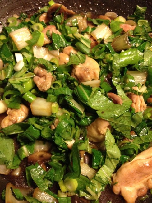 Aziatische paksoi met kip